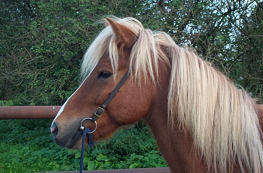 Dcp_2346.jpg (260755 Byte)