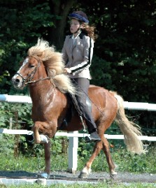 kopar_klein.jpg (27915 Byte)