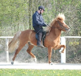 kopar_ndzs1.jpg (28274 Byte)